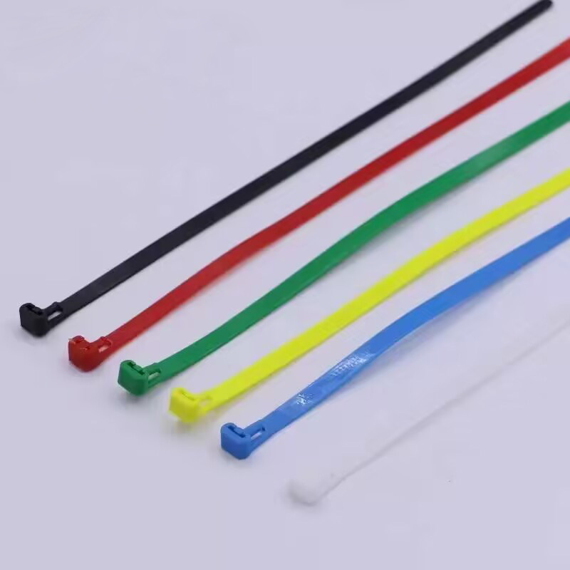 活扣式尼龍?jiān)鷰?>
                              </div>
                        </div>
                    </div>
                </div></div></div></div></div>
          
    </div>    
    <div   id=